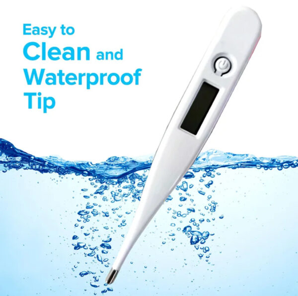 Digital Thermometer (Buy Now) - Image 3
