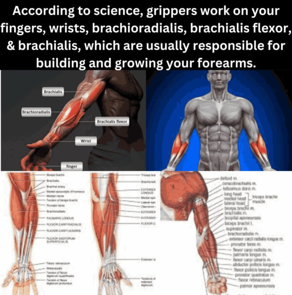 Hand Finger Gripper for Exercise – Gym Equipment - Image 4