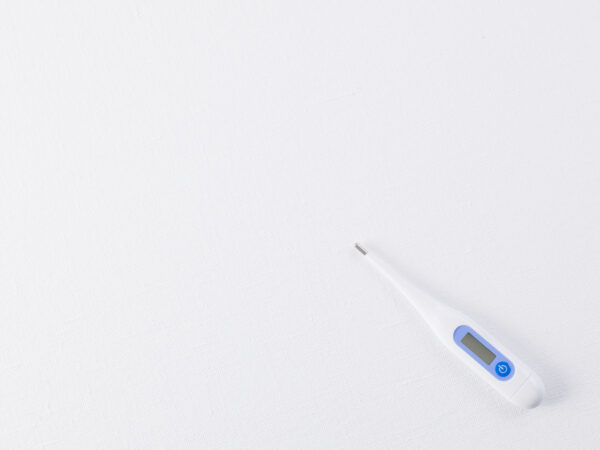 Digital Thermometer (Buy Now)